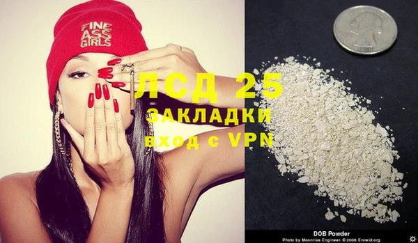 шишки Медногорск