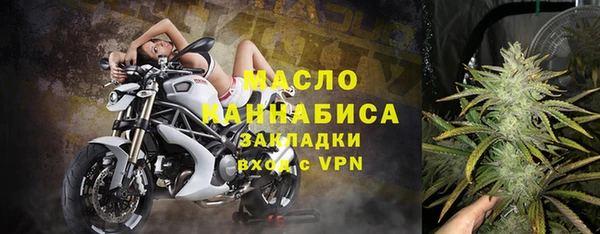 шишки Медногорск