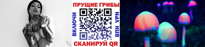 Купить закладки Муром Псилоцибиновые грибы ЛСД